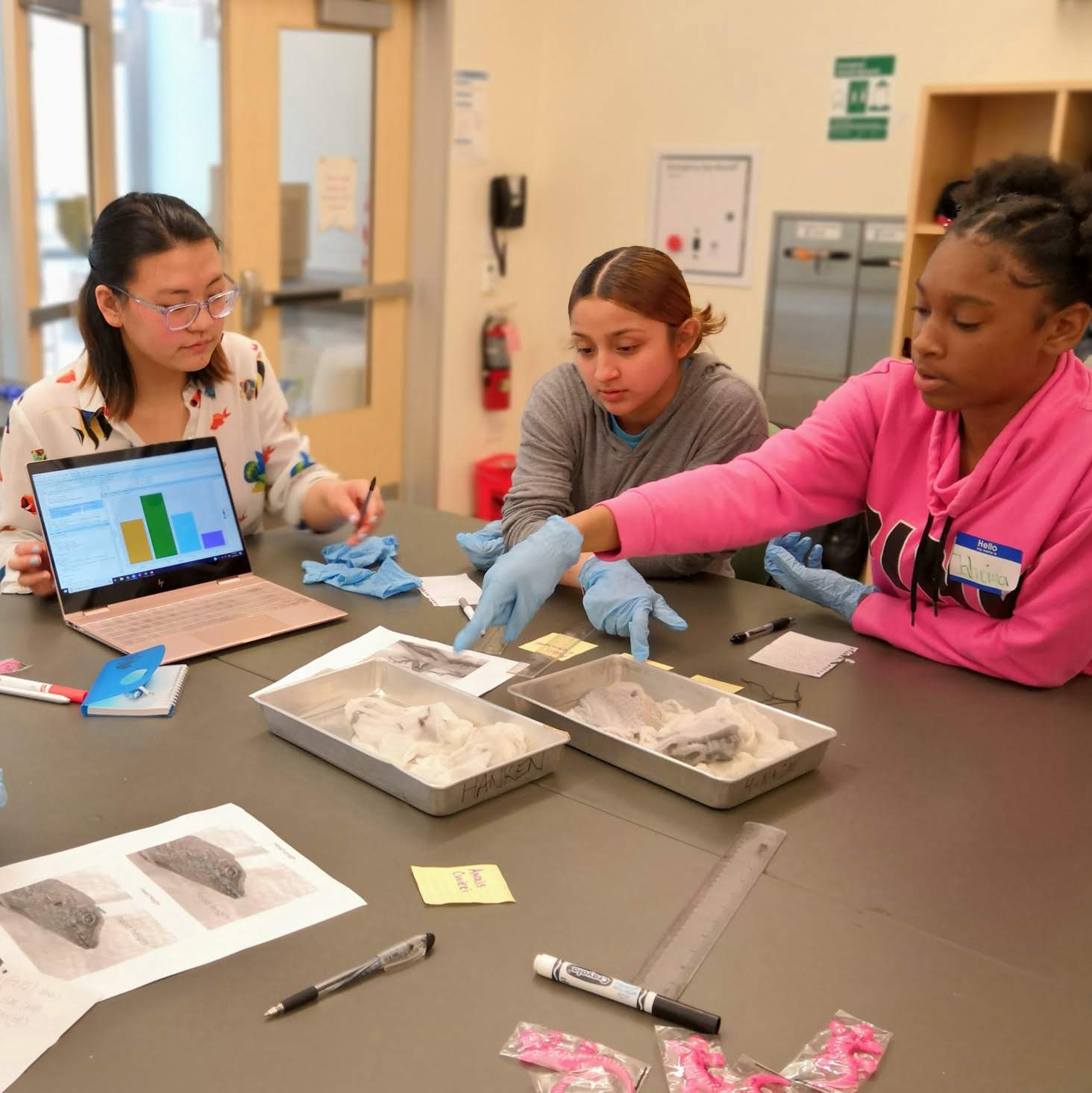 Students reach for specimens in trays to examine.